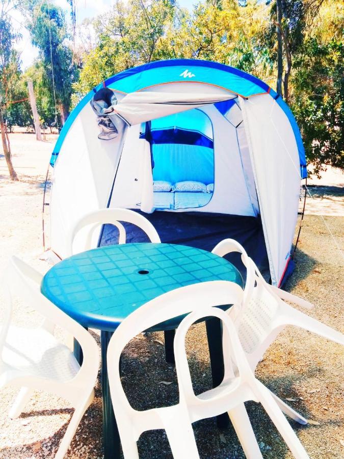 Camping Camping La Naranja *